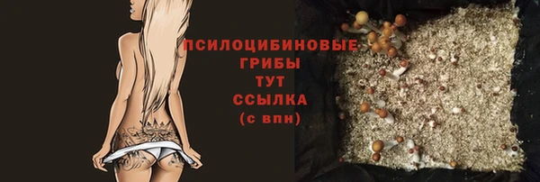 a pvp Заводоуковск