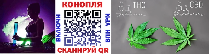 Бошки Шишки AK-47  Купить  Болгар 
